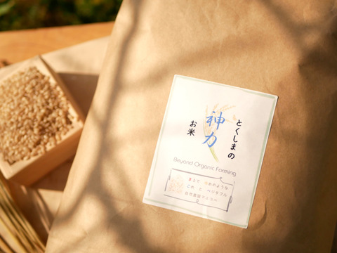 超在来品種！神力-SHINRIKI-自然栽培8年目～神から賜ったお米～（25kg）★玄米・白米・５分づき米選べます★