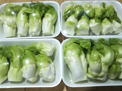 【クール対応便】
田口農園徳島「イチオシ旬野菜セット」
いつも新鮮食べ切りサイズでお届け致します。
内容物はお任せ下さい。決して後悔させません。