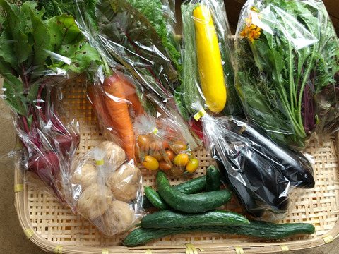 旬の野菜詰め合わせ（５~7品目）無農薬、無化学肥料、微生物酵素農法