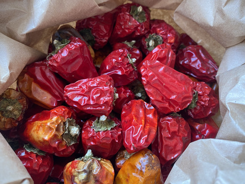 【自然栽培🍀自家採種】天日乾燥☀️朝天唐辛子（四川唐辛子）本格中華料理に（乾燥２０g）