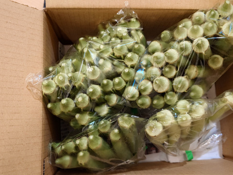 【朝どれ】オクラ 2〜4品種セット1kg【栽培期間中　化学肥料化学農薬不使用】