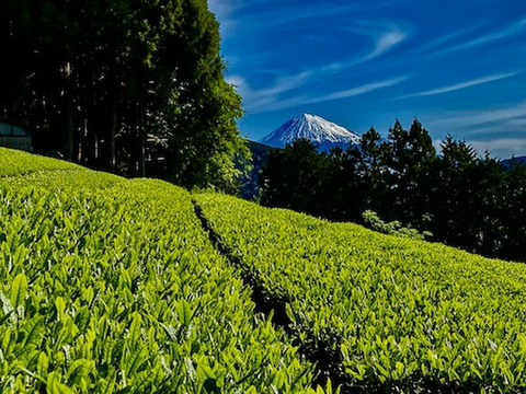 新茶【農薬・化学肥料不使用】上煎茶 やぶきた 静岡県産 100g