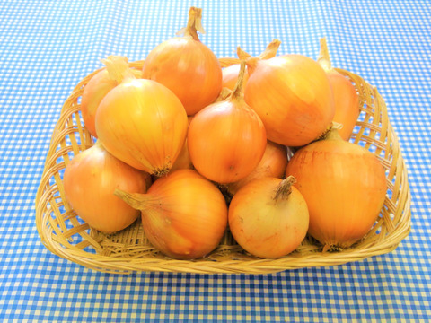 ミーちゃん様専用 黄たまねぎ1kg 赤たまねぎ500g ペコロス赤1kg ペコロス黄500g にんにく500g 青森県産 食べチョク 農家 漁師の産直ネット通販 旬の食材を生産者直送