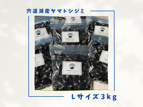 【訳あり】漁師直送！宍道湖産ヤマトシジミ・冷凍3kg（ご家庭用・お任せサイズ）