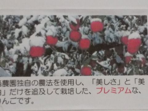 青森県産蜜入り希少雪完熟りんご ３kg９個