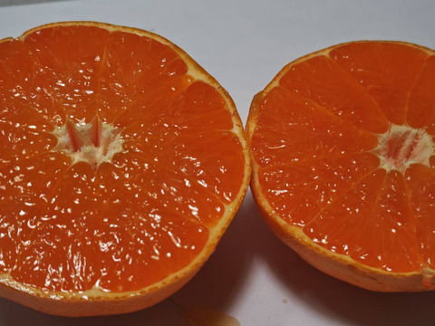 せとか★家庭用4.3K