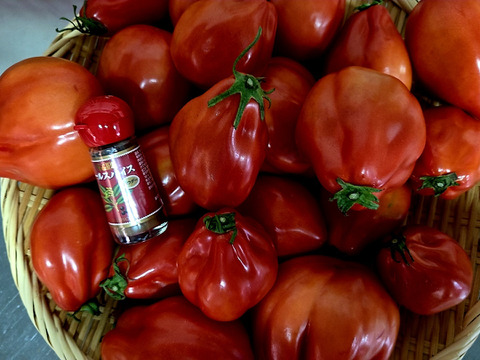 【牛の心臓トマト3kg】加熱調理で旨味抜群のイタリアン品種！（２０～４０玉）