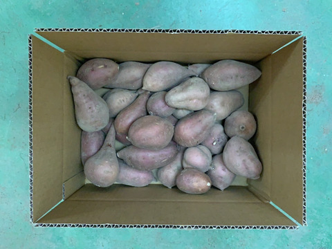 砂丘育ちの濃厚な味わい希少安納芋【お試し】３キロフリーサイズ