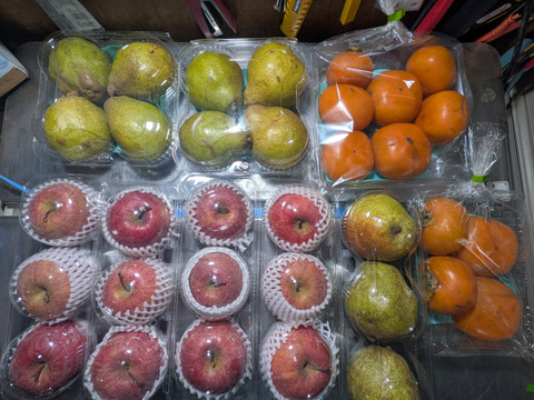 柿、洋ナシ、リンゴの箱詰め