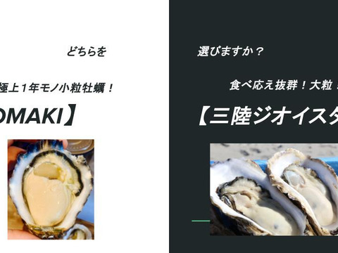 贅の極み食べ比べセット！ 【OMAKI】＆【三陸ジオイスター】計20個入り