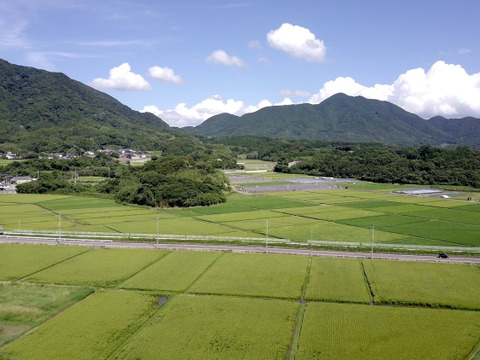 新米】「にこまる」(白米10kg) 農薬除草剤不使用の特別栽培米：福岡県
