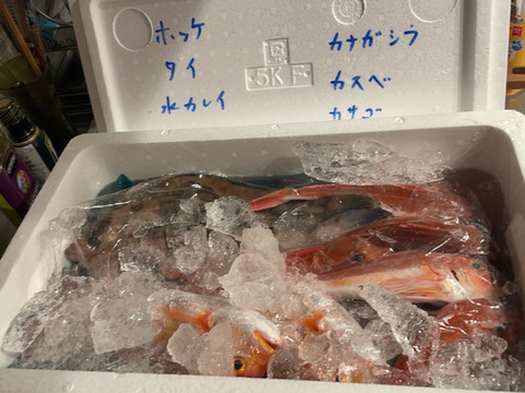９月スタート！【最大１ヶ月待ちになります🙇】🐟未利用魚🐟️訳ありを安くお得に！漁師の分け前セット３㎏程度