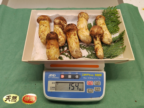 【秋の味覚の王様】松茸/マツタケ/まつたけ/純国産/154g【特上】【最短当日発送】