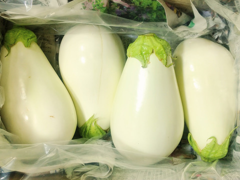 とろける食感『とろーり旨なす』4個入り