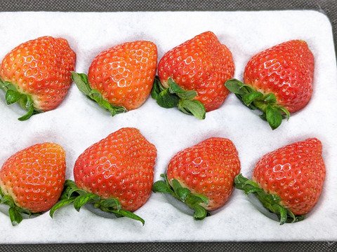 【かおり野＆みくのか】いちご食べ比べセット　合わせて2パック(各1パックずつ)【いちご食べ比べ】