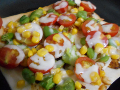 春の味覚たっぷり！指宿産そらまめ『いぶすき陵西』（ご家庭用・5kg）