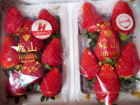 【食べ比べ】【いばらキッス・ひたち姫】茨城県産いちご 2パック×１箱