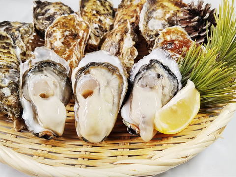 【10％OFF設定中】生食用２ｋｇ 殻付き 牡蠣 （14~30粒）牡蠣 殻付き牡蠣 殻付き牡蛎 牡蛎 kaki かき カキ 松島牡蠣屋 BBQに貝類 海産物 オイスターoyster