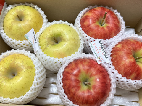 お任せミックス！岩手江刺産☆家庭用2㎏