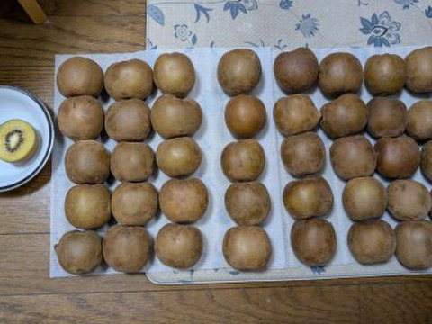 【家庭用たっぷり】30〜35個入るキウイ 約3kg
農薬・化学肥料不使用｜八女産アップルキウイ