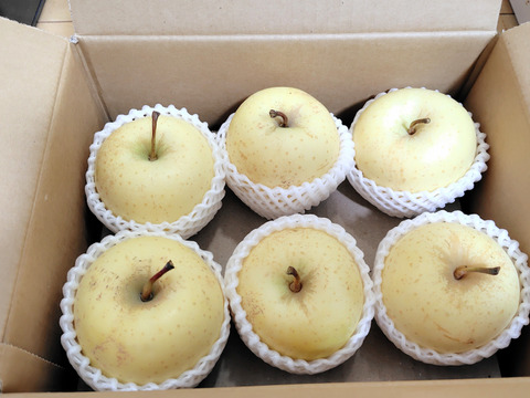 ～🍎青森りんごを直送🍎～　『ご家庭用・金星』２Kg　６～９個入り