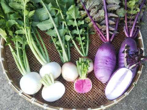 【福袋】年末年始のおもてなしに。
欲張りたっぷり３０００円コース
農家人ではなく「お客様」が選ぶ旬野菜のおまかせセット。
今回の福袋企画には「干し芋」が付いております。
不要な方はその旨記載ください