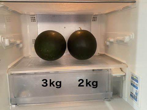 今期最終【自然栽培🍀固定種🍉黒小玉スイカ】3kg台（冷蔵庫サイズ）シャリっと甘くてジューシー（１個）