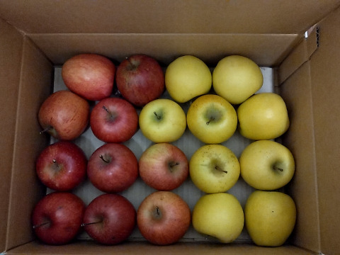 【極小玉・バラ詰め】サンふじ＆シナノゴールド🍎💛家庭用約3Kg🍎💛ハーフセット　毎日りんご　コスパ抜群　青森県産　数量限定