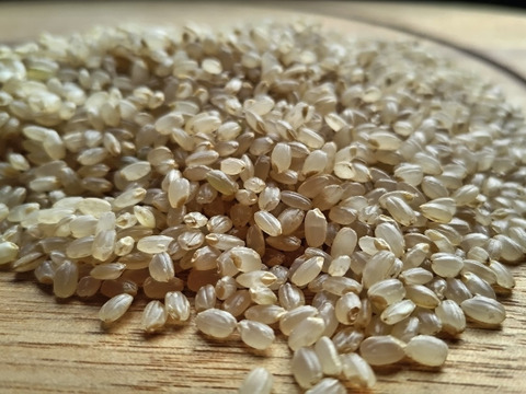 【新米】農薬化学肥料不使用　信州伊那谷★コシヒカリ(玄米)2025年産・5㎏