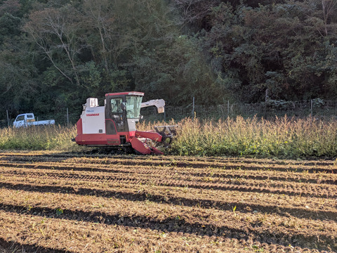 純正　焙煎えごま油（大分県国東市産）１０５ｇ×1本