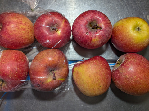 キャベツ、アスパラ菜、リンゴ