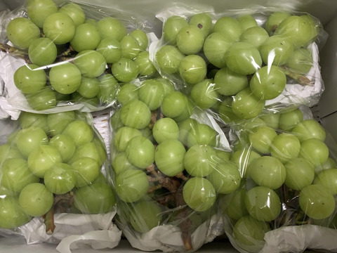 シ③■訳あり・カット房■ 【シャインマスカット】2kg化粧箱