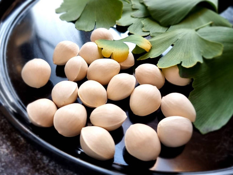 限定10箱！　銀杏の王様【藤九郎】2Lサイズ（500ｇ）