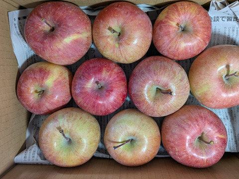 柿とリンゴの加工原料箱詰め