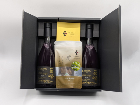 完熟巨峰100％搾りと枝付きセミドライシャインマスカットギフト ※長野県認証/農薬節減栽培（信州の環境にやさしい農産物認証）