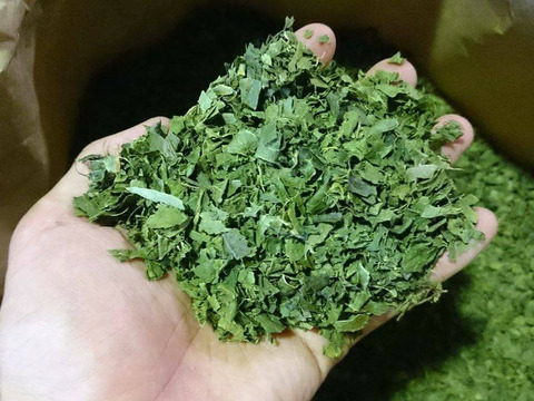 今だけお試し価格！　柿の葉茶チャイ