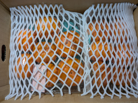 熟した柿とリンゴの箱詰め