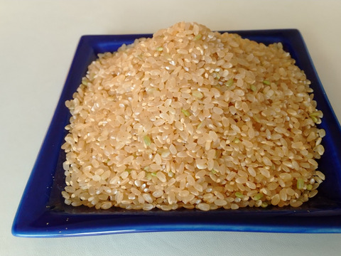 農家が作る令和６年徳島県産あきさかりMinh Hoang Nguyen用 令和6年産 徳島県産あきさかり 20kg 秋の盛りに収穫しました