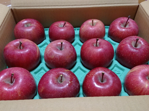 りんごグランプリ2025最高金賞1位🎊 サンふじ3キロ箱 A品B品ミックス 6玉から14玉程度 商品ID76092 長野県 信州 安曇野 リンゴ 幻 幻のリンゴ 予約 希少 旬 甘い