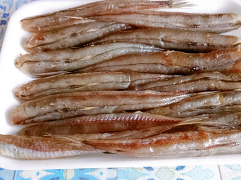 脂たっぷり！真空冷凍ニギス干物400g×2パック（計800g） 頭＆内臓除去済