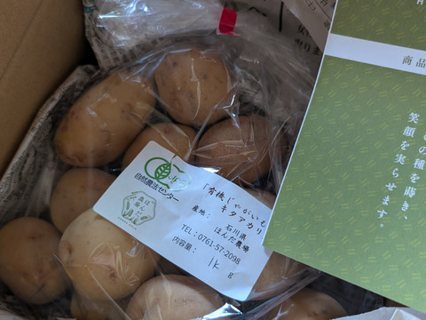 有機栽培 じゃがいも キタアカリ 1kg 石川県産【福袋2025】