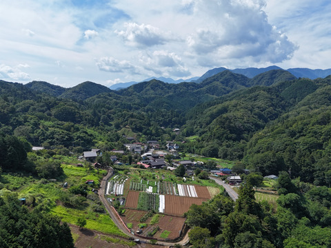 春夏秋冬、山から届くシェフの育てた野菜セット