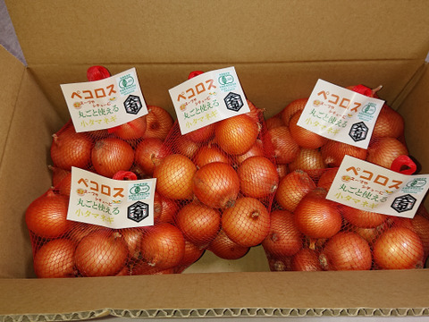 有機ペコロス（小タマネギ）5kg