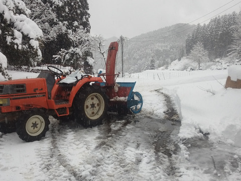荒廃した里山再生を食べて支援！富山県産・原木生椎茸（生）1kg