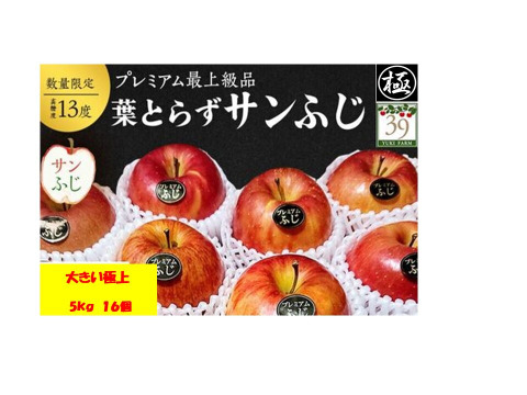 青森県産りんご 【大人気】【代々受け継がれた選びに選び抜いた極みの味】大きめサイズプレミアム蜜入り葉とらずさんふじ5Kg糖度13度以上