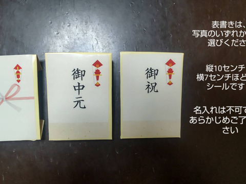 【80箱限定】最高峰の味！渥美半島産くるめメロン(２玉)