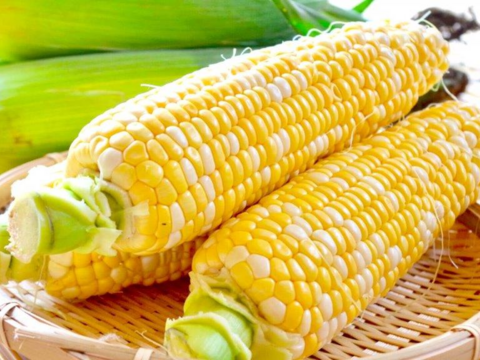 【増量中+おまけ野菜】希少品種甘々娘 抗酸化 甘さと旨さ絶妙バランス 歯ごたえプチプチ 生食可能  カラフルな黄白 日光産 12本+α