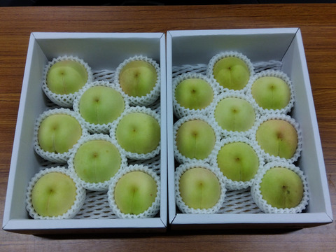 冬に食べられる超希少桃！【冬桃がたり】（家庭用・約1.6kg）