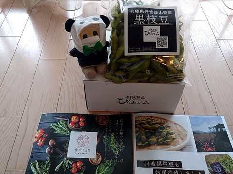 【お試しサイズ】丹波篠山産 黒枝豆 500g