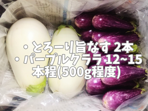 人気アイテムランキング とろける茄子2種【とろーり旨なす&パープルクララ】のセット 野菜